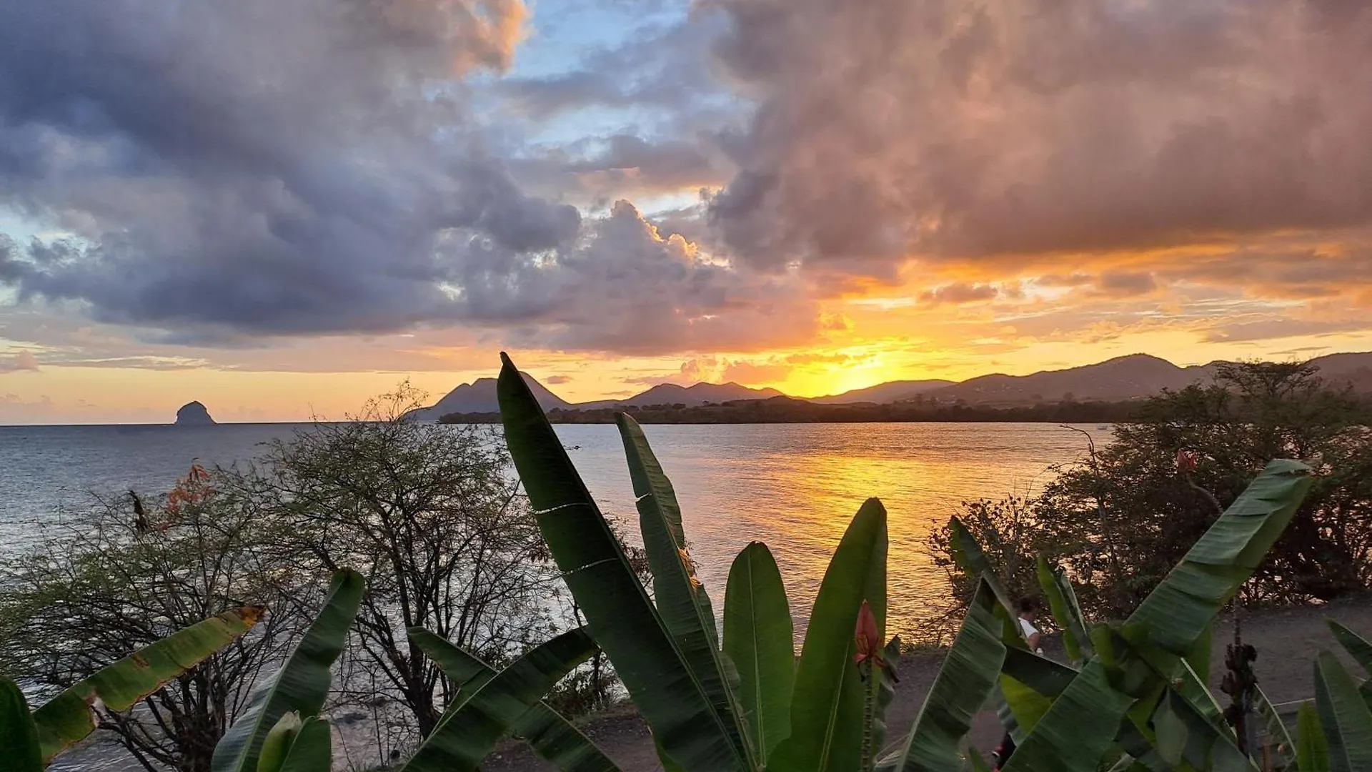 Sejour De Reve En Martinique 6 Pers Avec Piscine Lejlighed Les Trois-Ilets